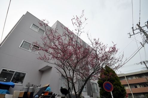 次の画像