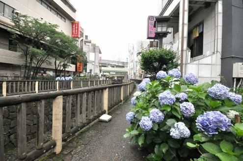 次の画像