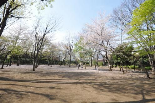 前の画像