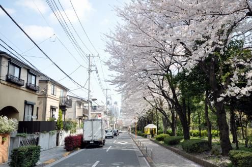 前の画像