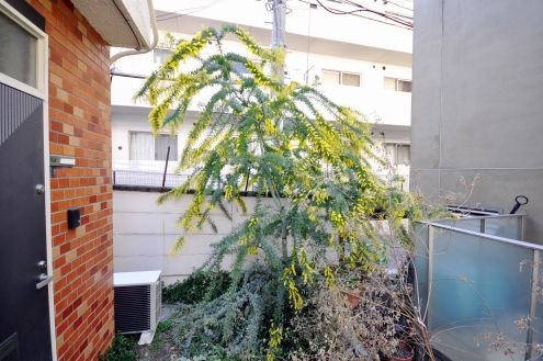 次の画像