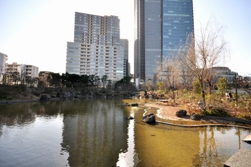 前の画像