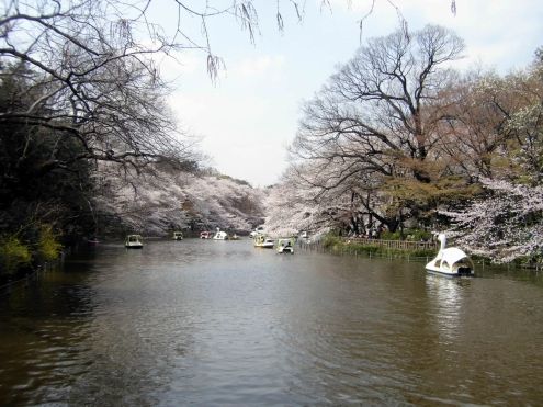 次の画像
