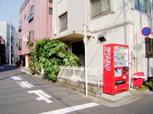 前の画像