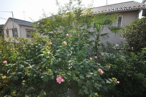 次の画像