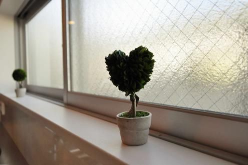 次の画像