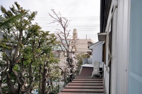 次の画像