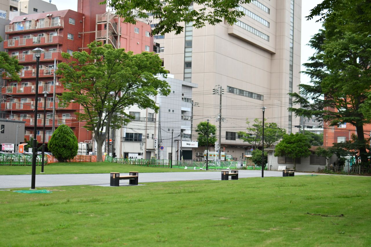 徒歩1分の場所に芝生の整備された公園があります。(2020-06-18,共用部,ENVIRONMENT,1F)