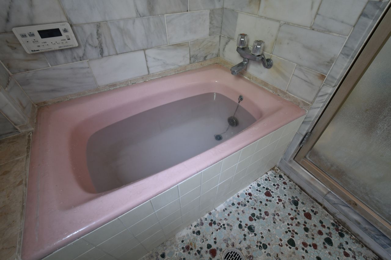 バスルームの様子2。(2018-07-24,共用部,BATH,2F)