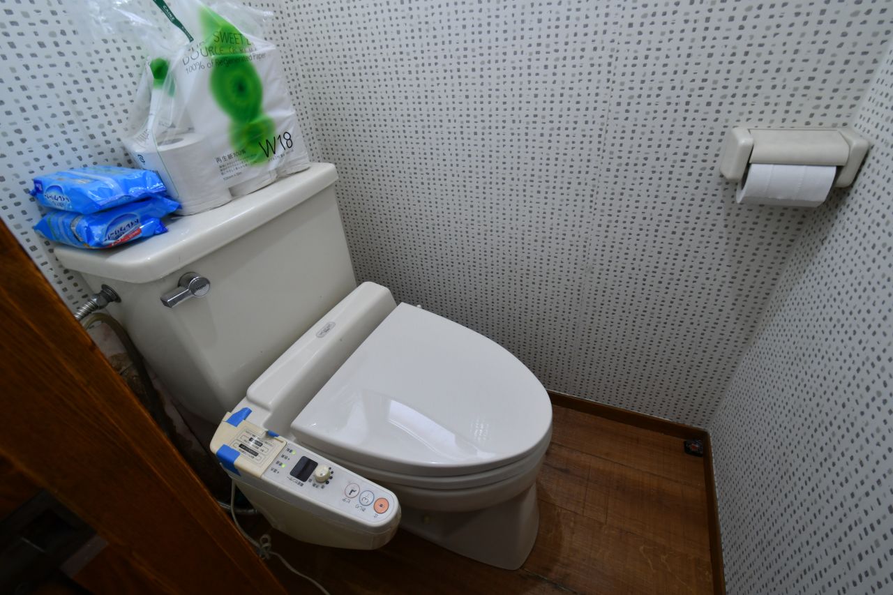 ウォシュレット付きトイレの様子。(2018-07-24,共用部,TOILET,2F)