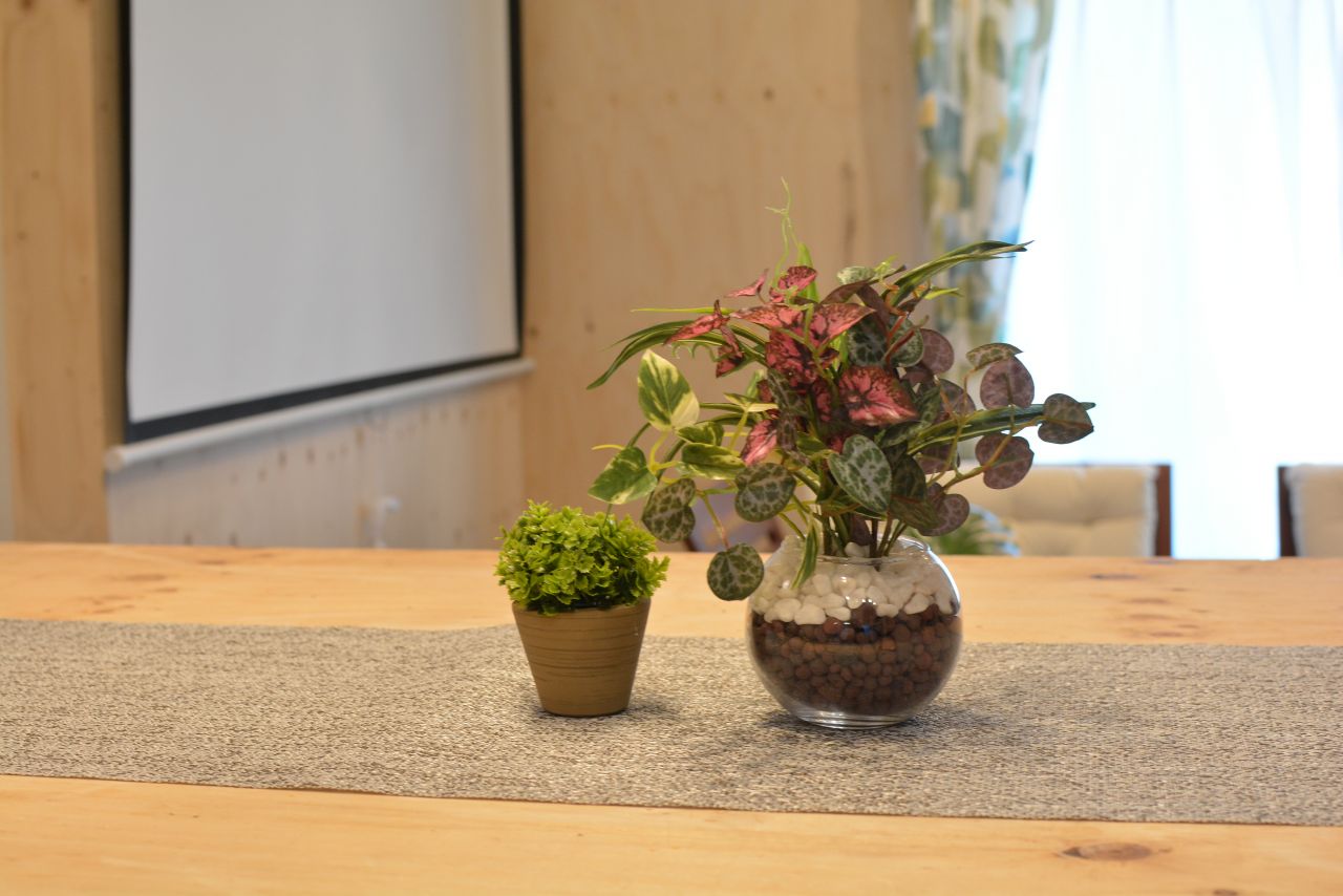 グリーンが飾られています。(2022-01-07,共用部,LIVINGROOM,1F)