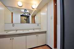洗面台の両脇にトイレと洗面台が１つずつ。2～5階まで同様にあります。(2011-03-10,共用部,OTHER,2F)