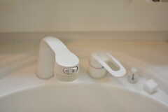 洗面台はシャワー水栓。(2022-10-06,共用部,WASHSTAND,1F)