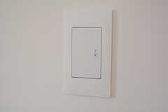 照明のスイッチ。光は控えめな白色です。（206号室）(2020-12-03,専有部,ROOM,2F)