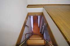 ロフトに付いているはしごの様子。廊下へ降りることとなります。(2012-02-01,共用部,OTHER,3F)