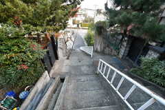 建物前の階段。(2020-12-17,共用部,ENVIRONMENT,1F)