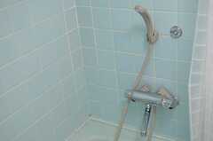 シャワーヘッドの様子。(2012-10-01,共用部,BATH,4F)