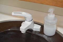 洗面台の水栓。(2022-12-08,共用部,WASHSTAND,1F)