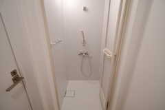 トイレの対面がシャワールームです。（201号室）(2022-06-11,専有部,ROOM,2F)