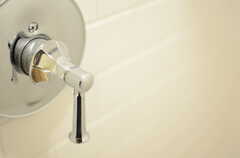 シャワー水栓のハンドルの様子。(2013-03-12,共用部,BATH,2F)