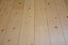 床は無垢材です。（205号室）(2022-12-23,専有部,ROOM,2F)