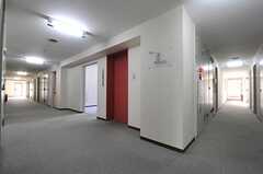 廊下の様子。各階、同じ間取りです。(2013-08-22,共用部,OTHER,4F)