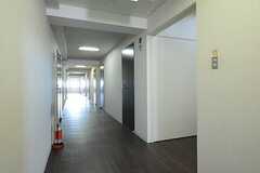 廊下の様子。廊下添いにランドリーとトイレが設けられています。(2014-08-19,共用部,OTHER,3F)