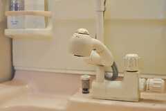 洗面台にはシャワーヘッドが設置されています。(2012-04-26,共用部,OTHER,2F)