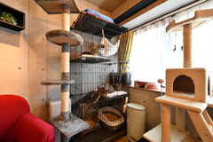 3匹の保護猫たちが一緒に暮らします。(2022-06-13,共用部,LIVINGROOM,2F)