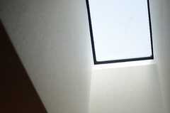 階段上には天窓付き。(2013-04-23,共用部,OTHER,2F)