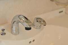 シャワー水栓です。(2013-04-23,共用部,OTHER,2F)