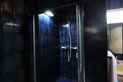 シャワールームの様子。(2013-02-20,共用部,BATH,2F)
