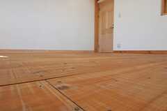 床は無垢材。荒めの仕上げ。（201号室）(2011-01-12,専有部,ROOM,2F)