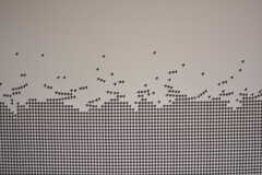 千鳥格子が飛び立っていくような、かわいい壁紙。（203号室）(2020-06-22,専有部,ROOM,2F)