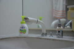 洗面台はシャワー水栓です。(2012-09-07,共用部,OTHER,2F)