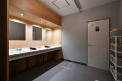 洗面台の様子。奥のドアはシャワールームです。(2022-03-16,共用部,WASHSTAND,4F)