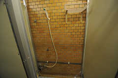 シャワールームの様子2。(2014-04-01,共用部,BATH,1F)