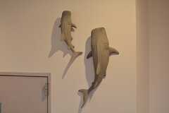 壁を泳ぐサメたち。(2016-04-21,共用部,LIVINGROOM,1F)