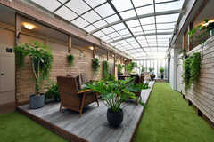中庭の様子4。壁掛けのグリーン以外はすべて本物の植物です。(2022-08-08,共用部,LIVINGROOM,1F)