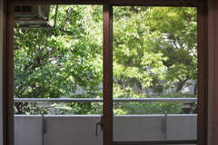 窓からはたっぷりの緑。（402号室）(2022-08-08,専有部,ROOM,4F)