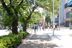 駅前は桜並木が続いています。(2022-08-08,共用部,ENVIRONMENT,1F)