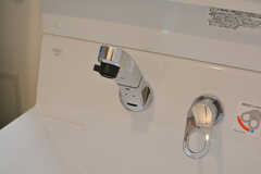 洗面台はシャワー水栓です。(2020-10-20,共用部,WASHSTAND,1F)
