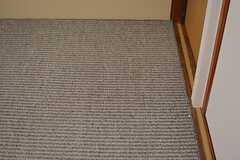 床はカーペット敷き。（101号室）(2015-06-16,専有部,ROOM,1F)