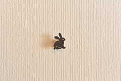 ドア付近の壁にウサギの画鋲が飾られています。（204号室）(2018-02-14,専有部,ROOM,2F)