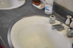 洗面台の水栓。(2014-06-02,共用部,OTHER,2F)