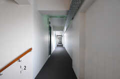 廊下の様子。左手に部屋が並んでいます。廊下の途中、右手に水まわり設備があります。(2013-09-18,共用部,OTHER,2F)