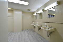 2階のトイレは女性専用。洗面台が設置されています。(2020-01-10,共用部,TOILET,2F)