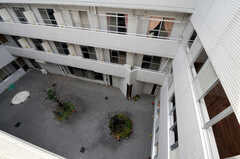 4階から見たパティオ（中庭）の様子。(2011-03-04,共用部,OTHER,4F)