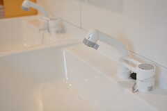 洗面台はシャワー水栓です。(2020-12-16,共用部,WASHSTAND,1F)