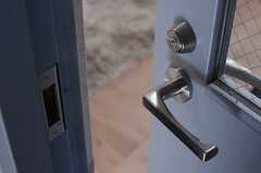 玄関のドアは重みがあります。(2013-04-02,周辺環境,ENTRANCE,3F)